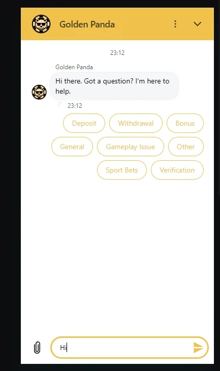 This is what an online chat looks like